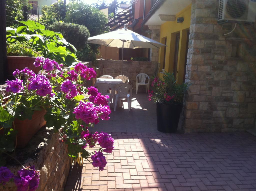 Apartment Sincic Novigrad Istria 외부 사진