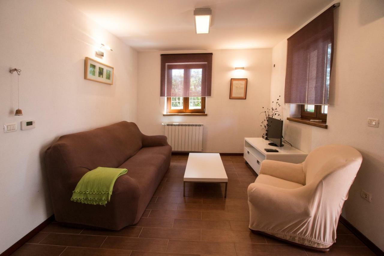 Apartment Sincic Novigrad Istria 외부 사진