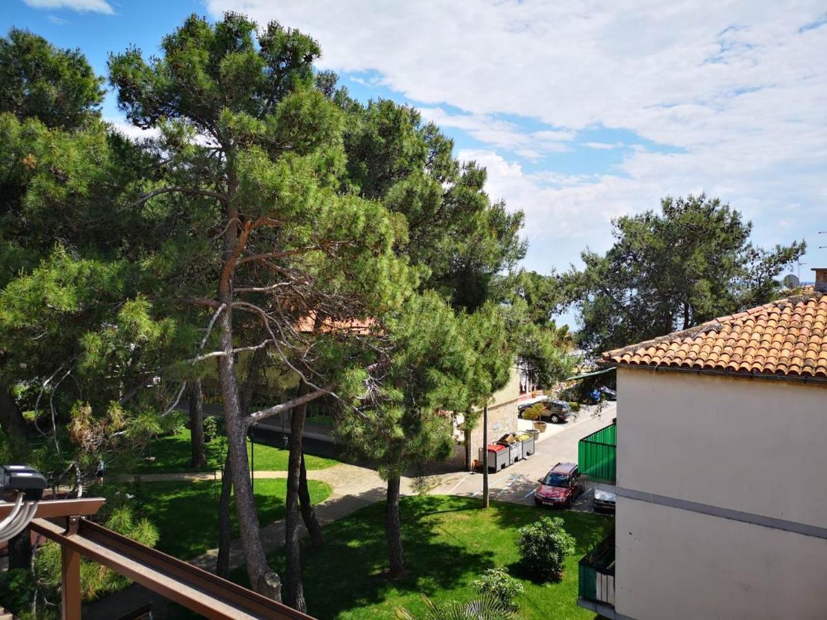 Apartment Sincic Novigrad Istria 외부 사진